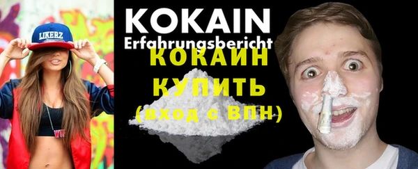 твердый Алексин