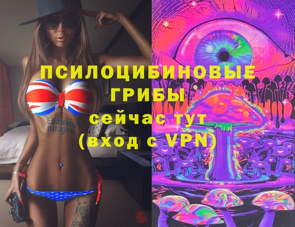 тгк Алексеевка