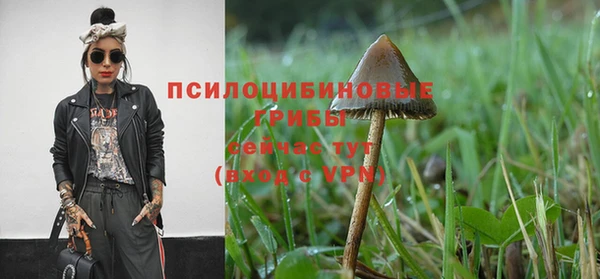 твердый Алексин
