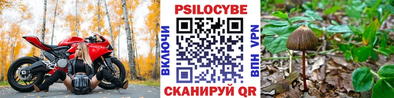 Галлюциногенные грибы Psilocybine cubensis  гидра сайт  Бирск 