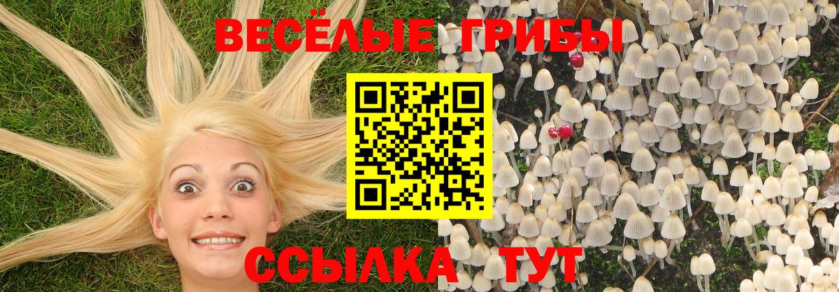 Бирск  Псилоцибиновые грибы MAGIC MUSHROOMS  Вход с VPN 