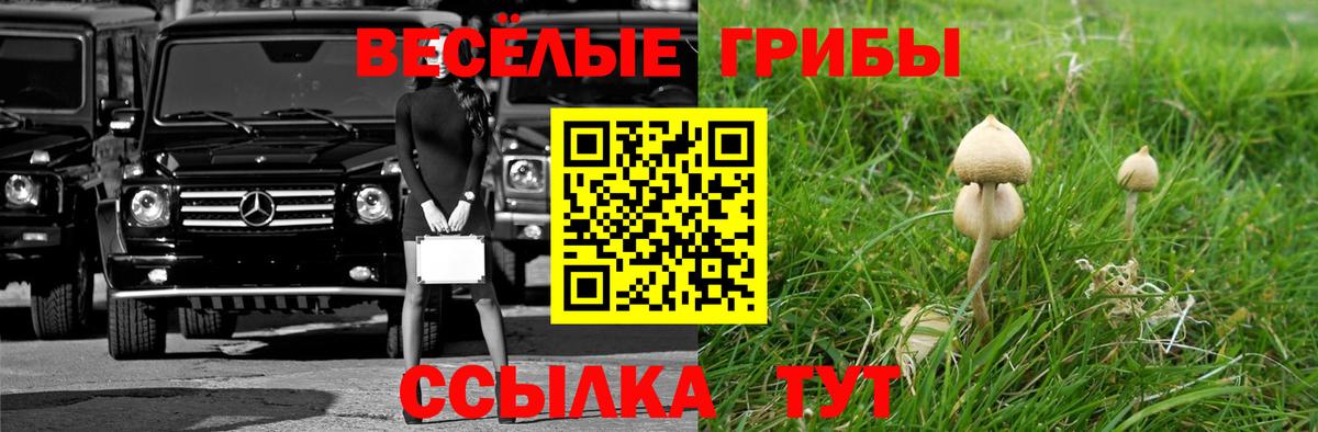 Псилоцибиновые грибы Magic Shrooms Бирск